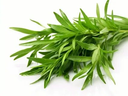 تصویر 1 از فروش اینترنتی سبزی ترخون خشک + تضمین قیمت